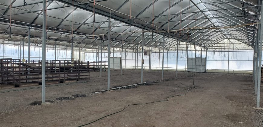 9-15 Orchard St Oakfield NY